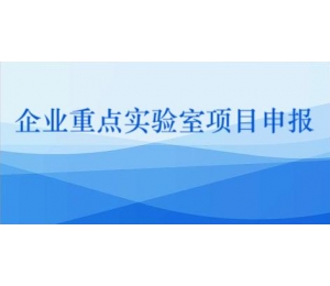 南昌项目申报代理公司